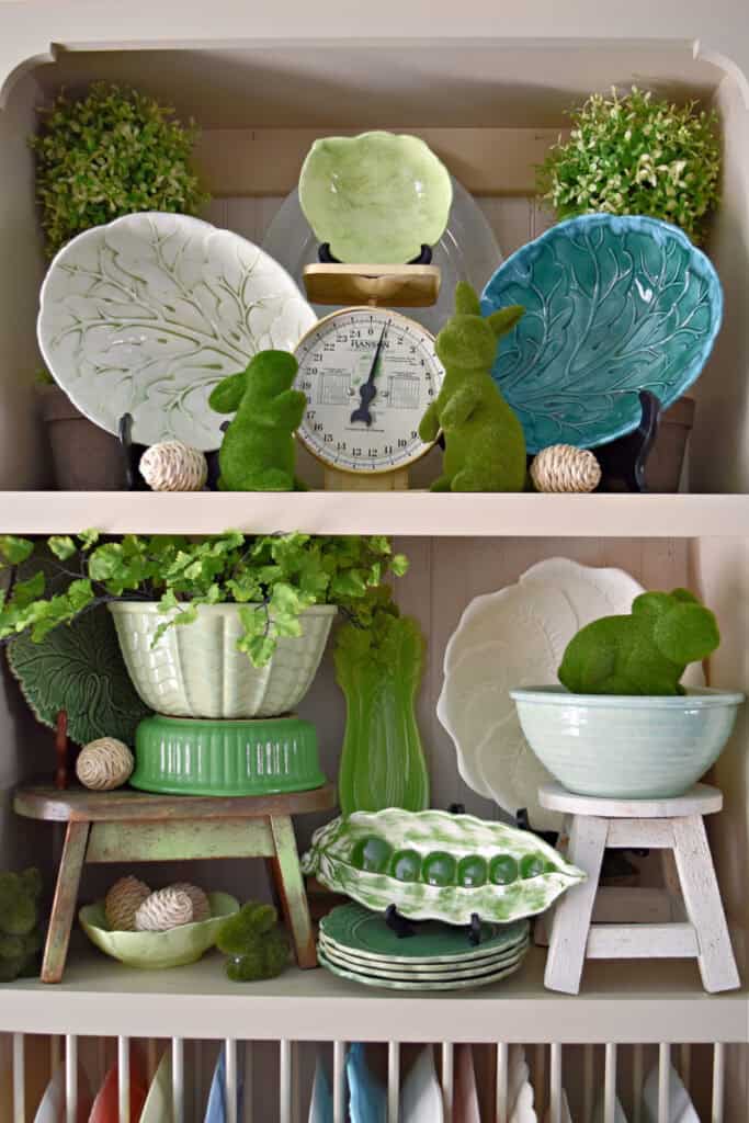 Cabbage wear display with moss bunnies.