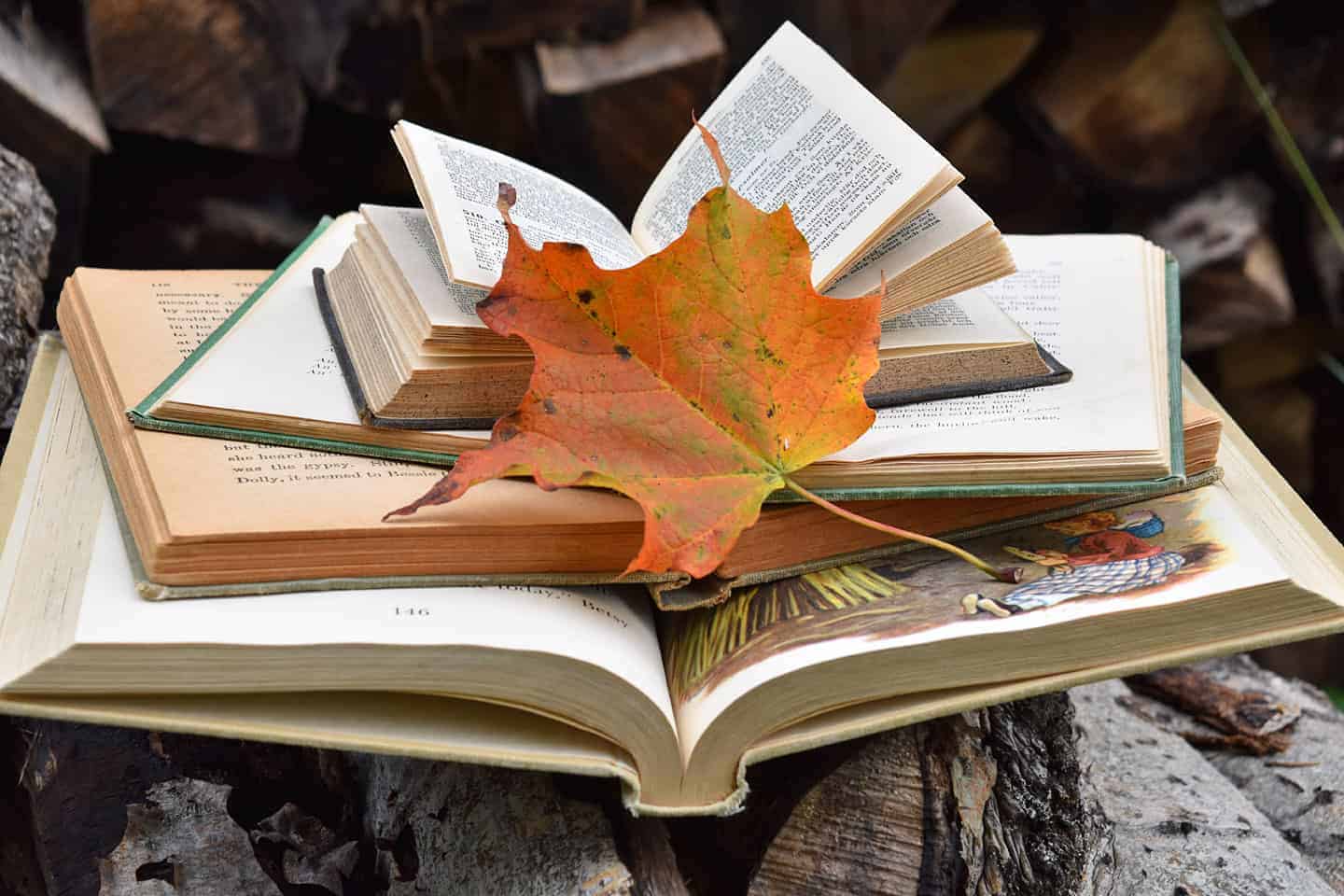 Best Books to Add to your Fall Reading List