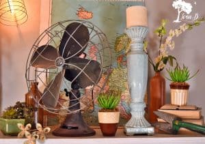 Vintage Fan Vignette