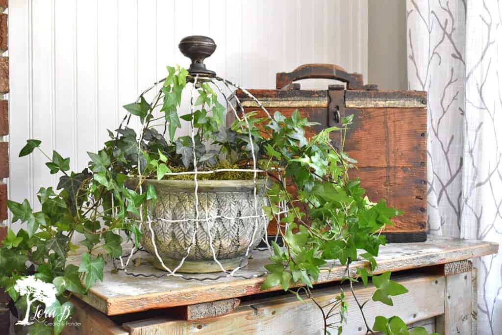 Repurpose old salvaged fencing to make this upcycled vintage cloche.