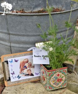 Vintage Floral Tins