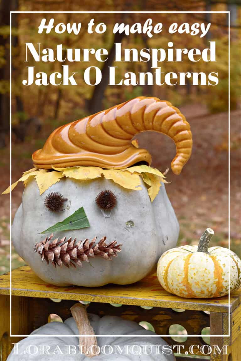 Garden Style DIY Jack O Lanterns - Lora Bloomquist~Create & Ponder