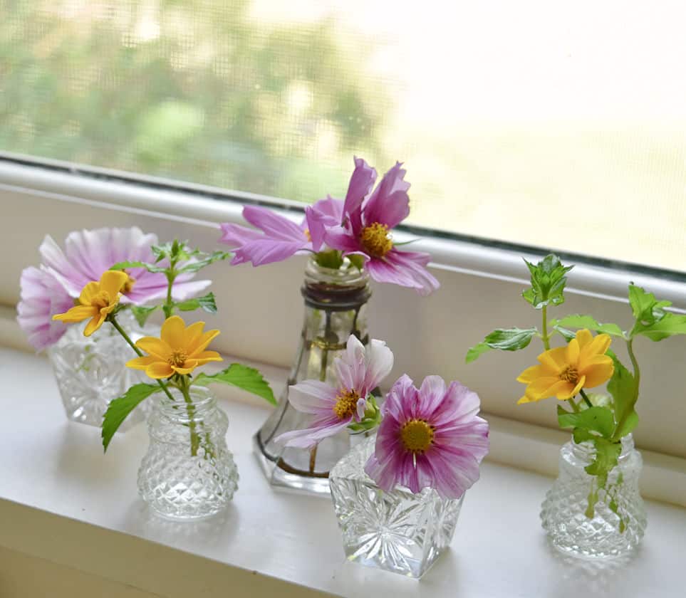 Flowers in vintage salt and pepper shakers.