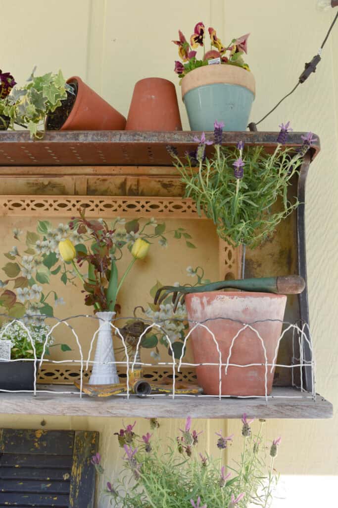 Vintage garden shelf display with rosemary topiary.