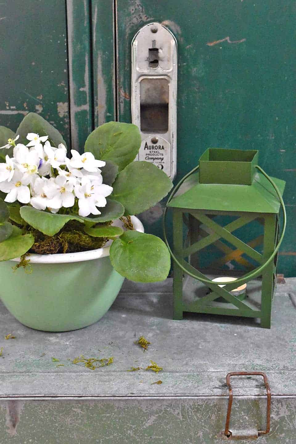 wonderful-ways-to-fill-your-home-with-the-color-green-lora-bloomquist