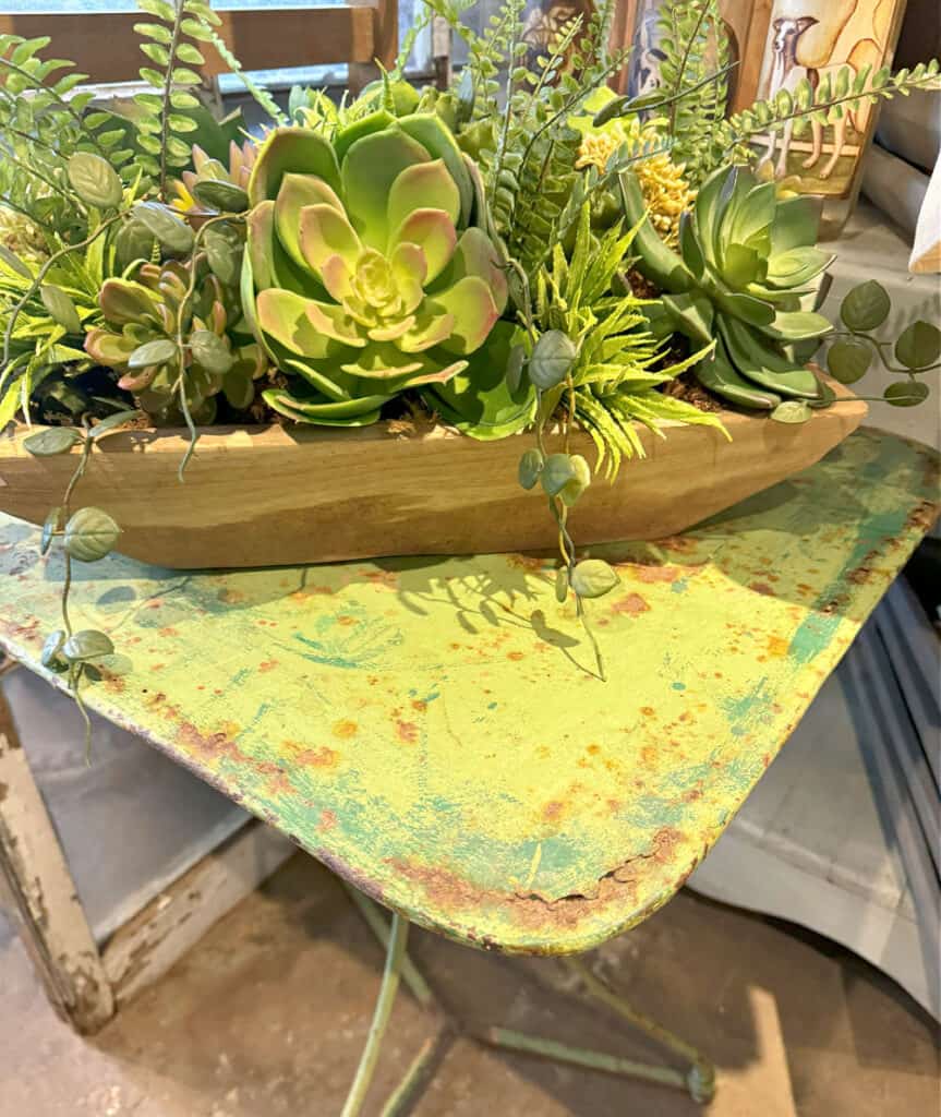 Succulent floral display.