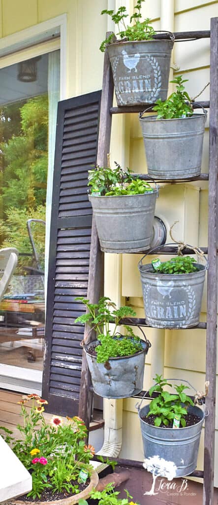 Vertical herb garden on an old ladder.