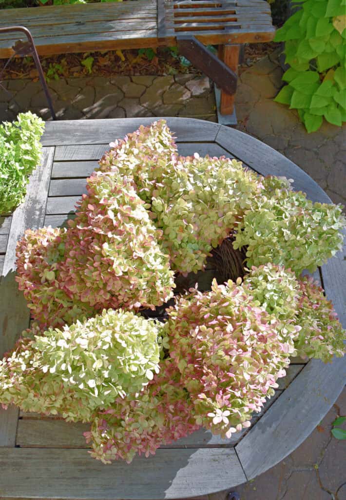 Making a fresh hydrangea wreath.