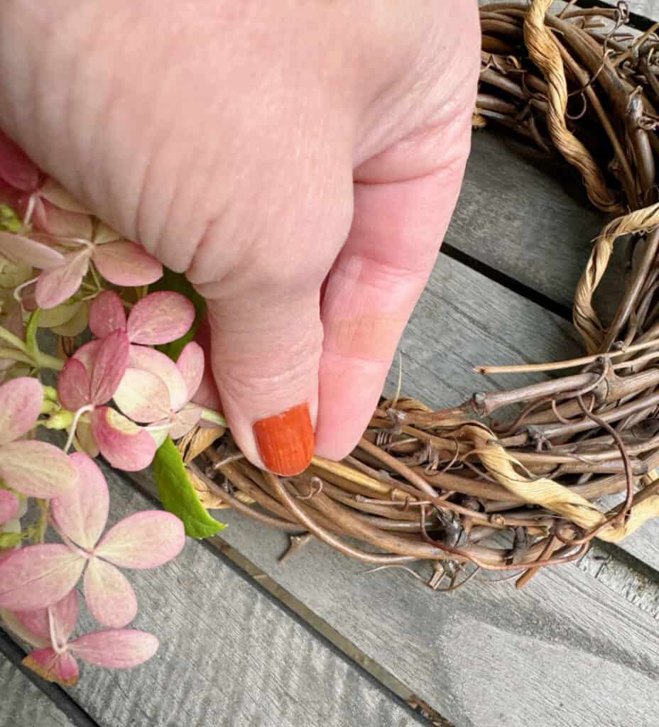 Making a grapevine hydrangea wreath.