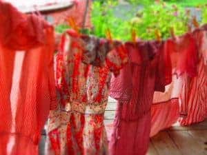 vintage clothes line drying