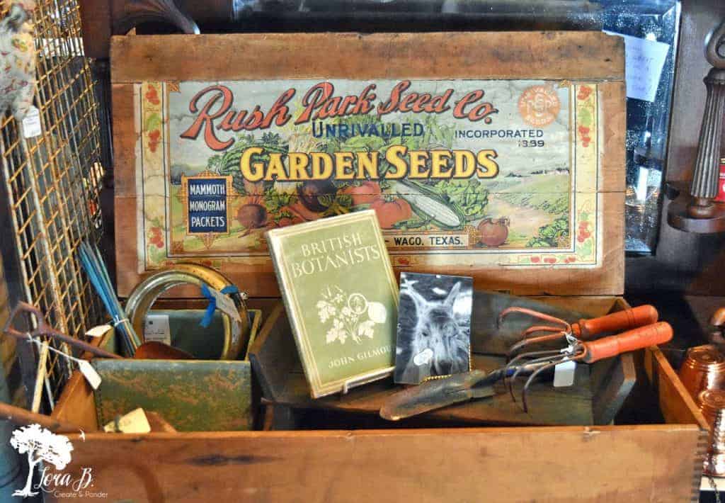 vintage garden display