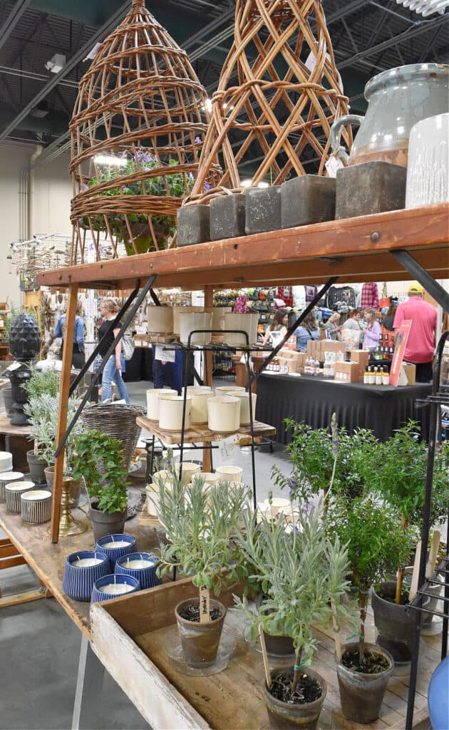 Vintage table with topiary plants display