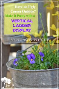 vertical garden ladder display