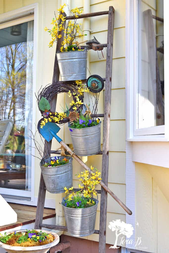 Galvanized bucket planters hanging on an old ladder.