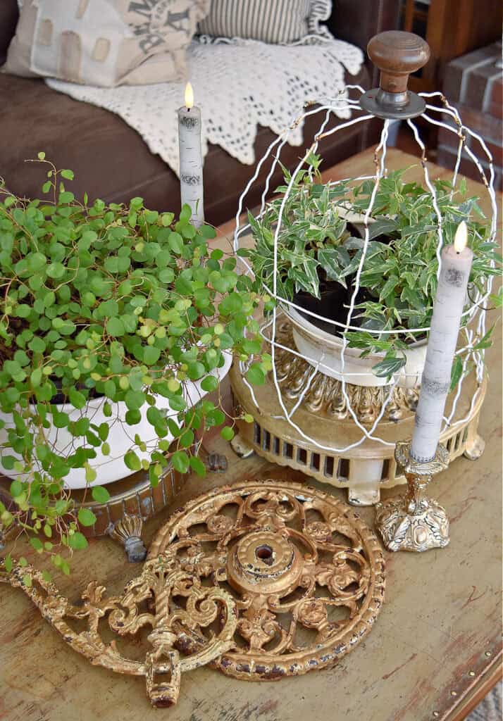 Old floor lamp parts create levels with fresh plants.