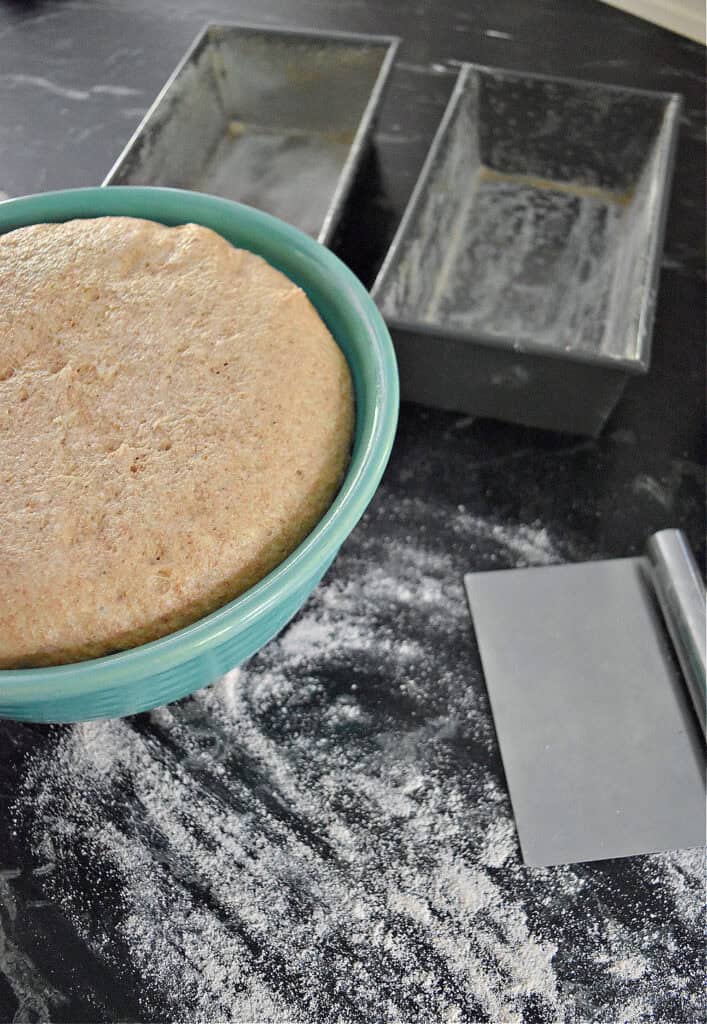 Yeast bread dough in green mixing bowl.