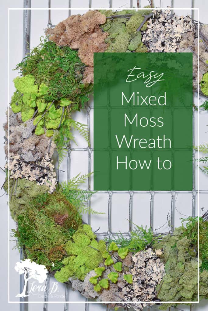 Good beginner moss? What kinds are these?