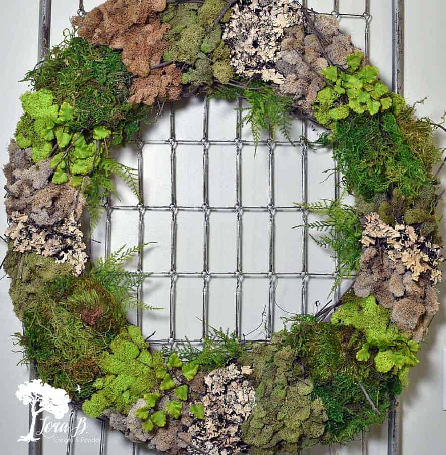 Easy DIY Dried Moss & Lichen Wreath Kit - 2 Sizes