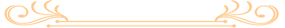 Orange divider