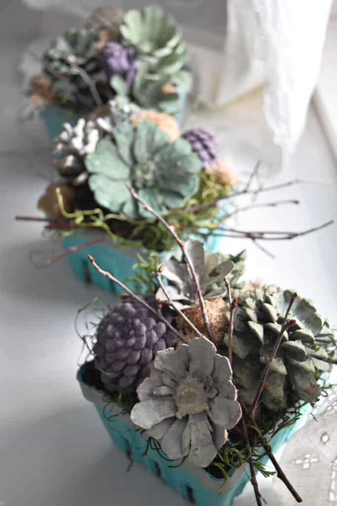 How to make pine cone succulents