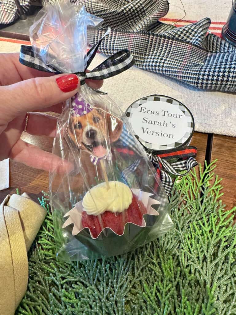 Birthday cupcake with dog toothpick as party favor.