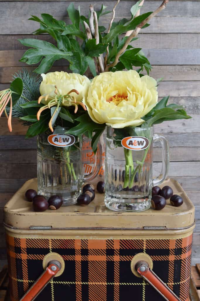 Yellow peony flowers in A & W root beer glasses.