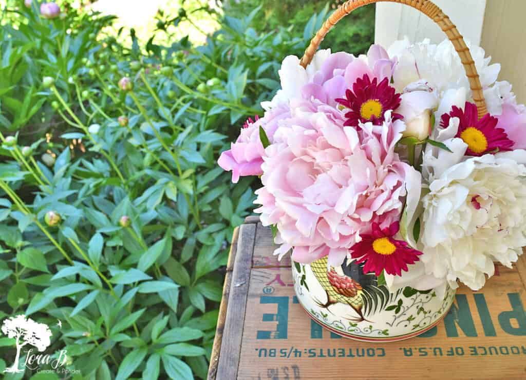 Pretty fresh cut peonies in a vintage rooster container.