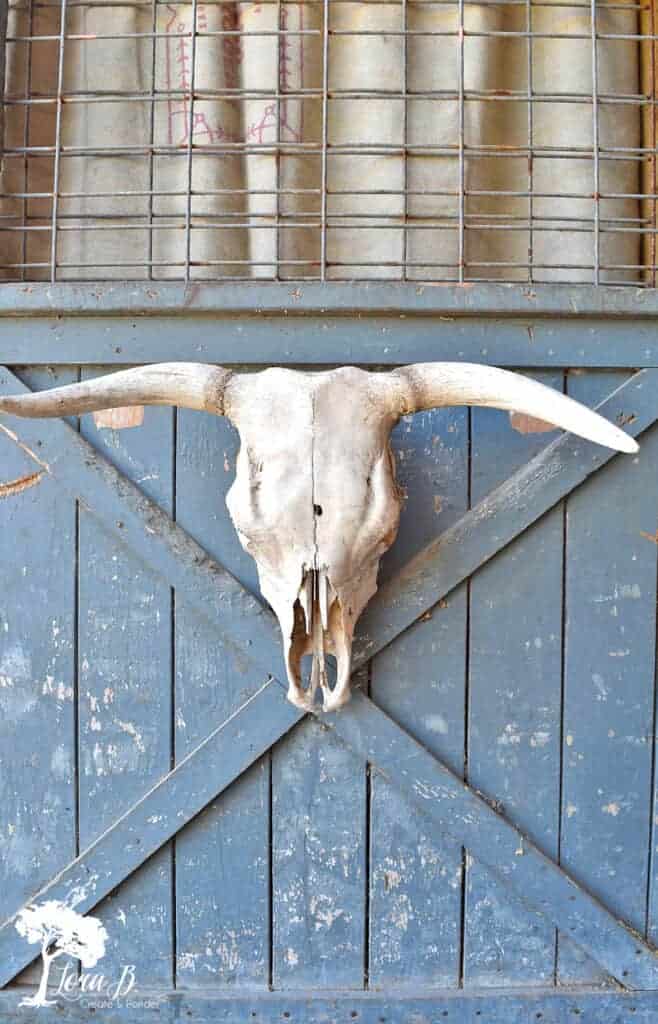 Cattle skull to use for photo styling tips using vintage and fresh flowers.