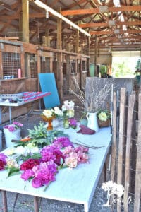 Fresh snipped peonies for Photo Styling Tips using vintage and flowers.
