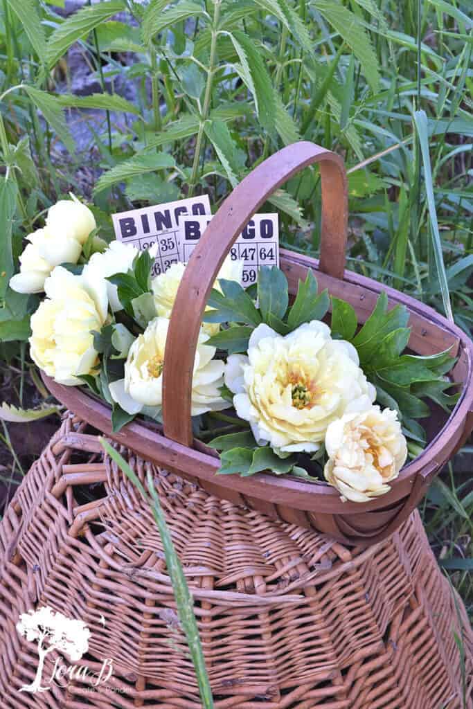 Fresh snipped peonies for Photo Styling Tips using vintage and flowers.