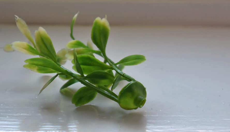 How To Easily Clean Artificial Plants Lora Bloomquist Create Ponder