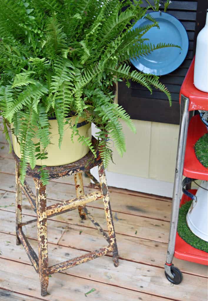 Vintage chippy metal stool with fern as summer porch decor.