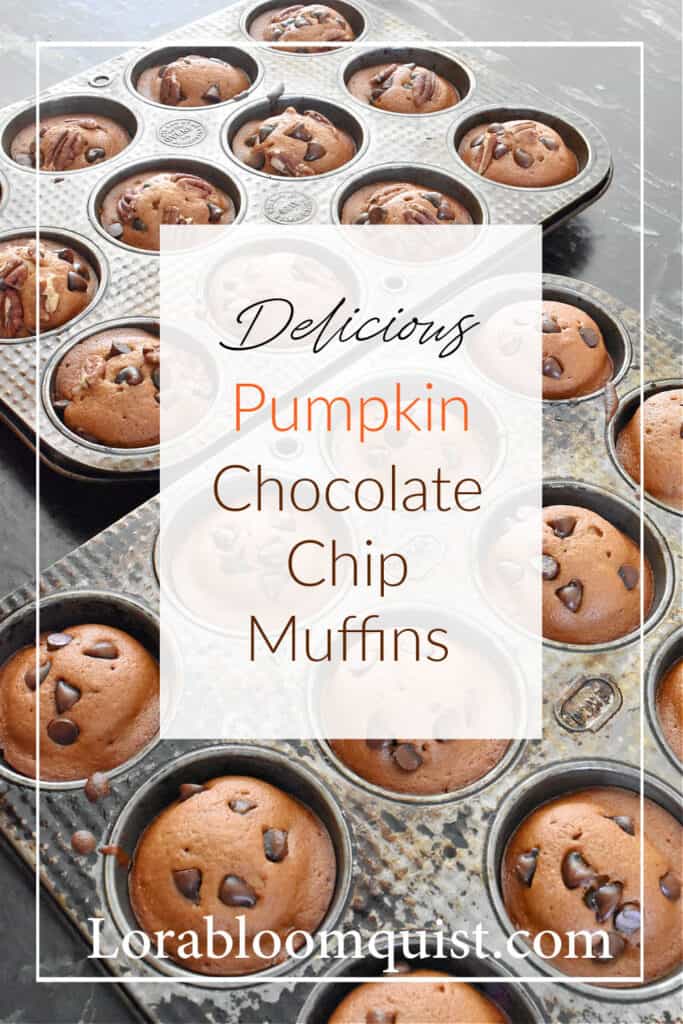 pumpkin chocolate chip muffins