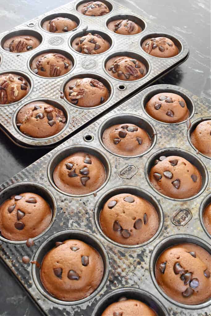 pumpkin chocolate chip muffins