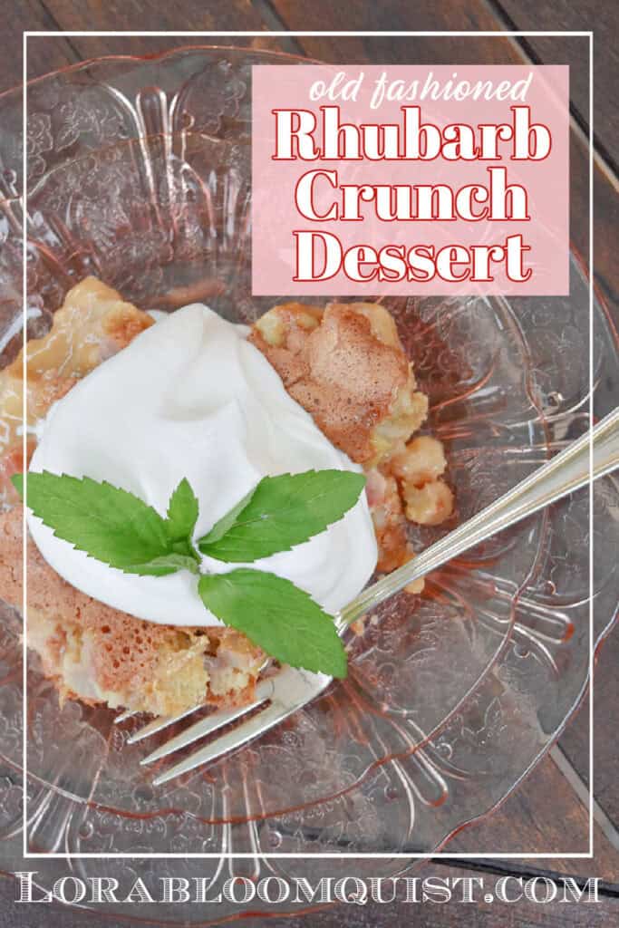 Old fashioned Rhubarb Crunch Dessert pin