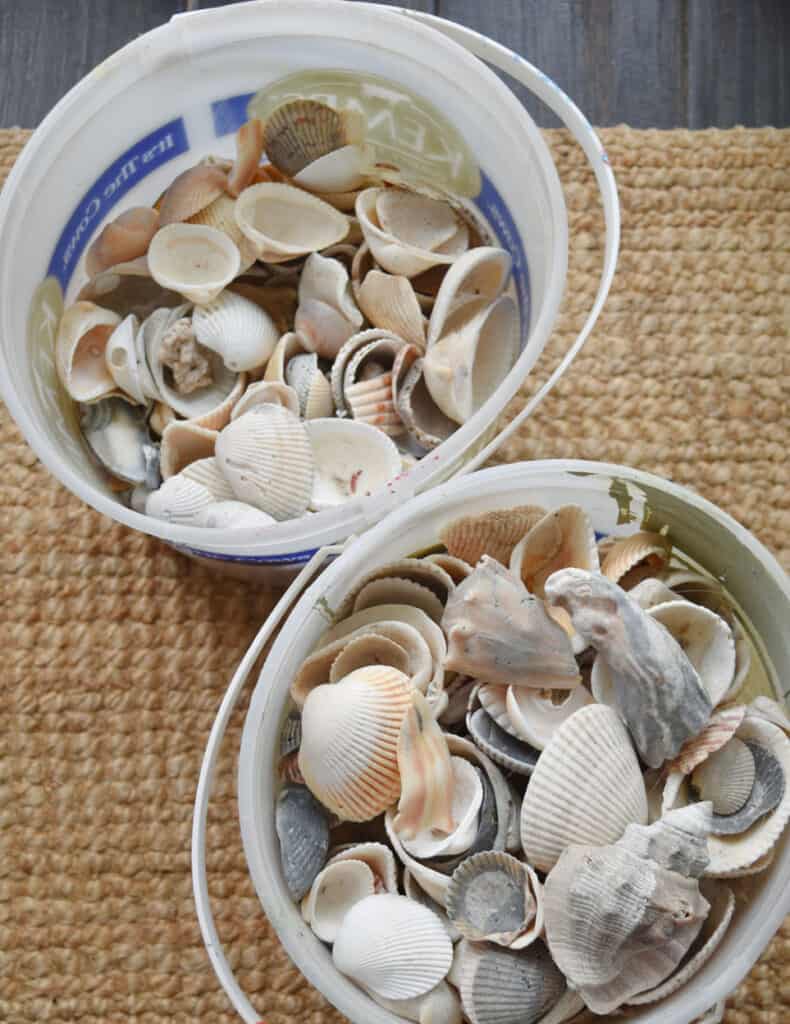 Seashells in buckets.