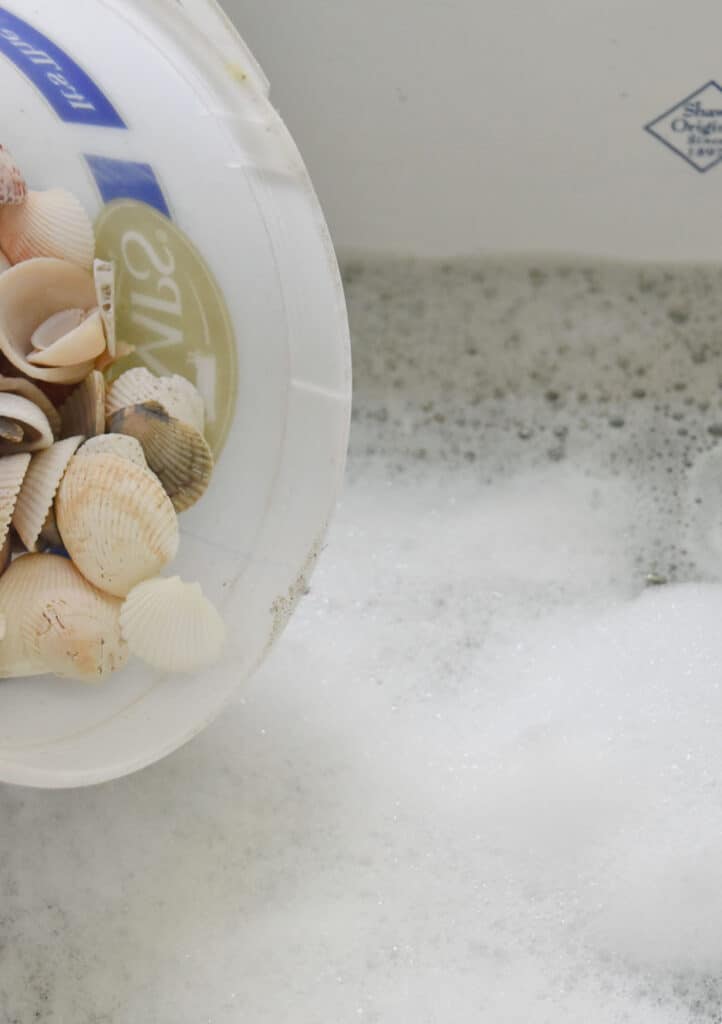 Cleaning seashells.