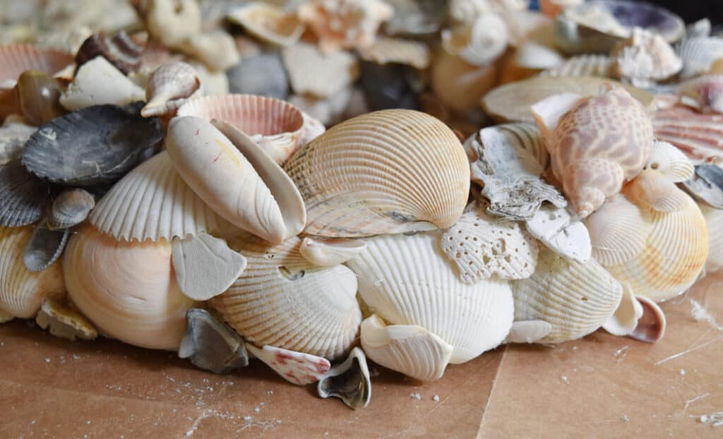 DIY seashell wreath up close.