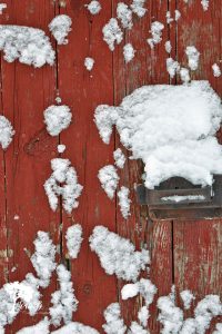 Snowy Junk Love