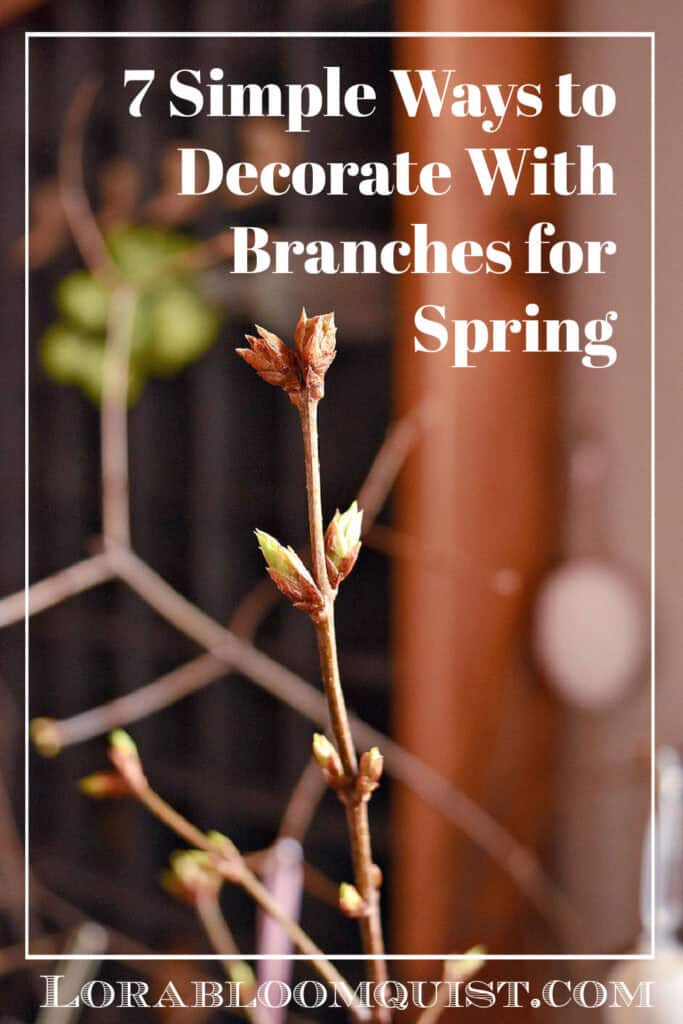 Forced branches bud on pin image.
