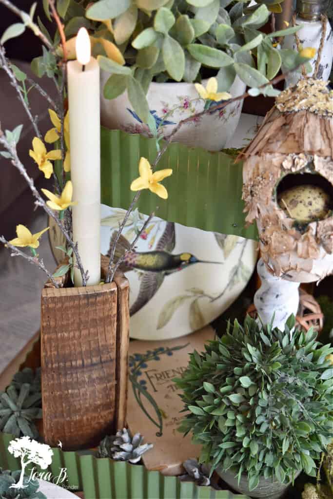 Bird accessories on a tiered tray