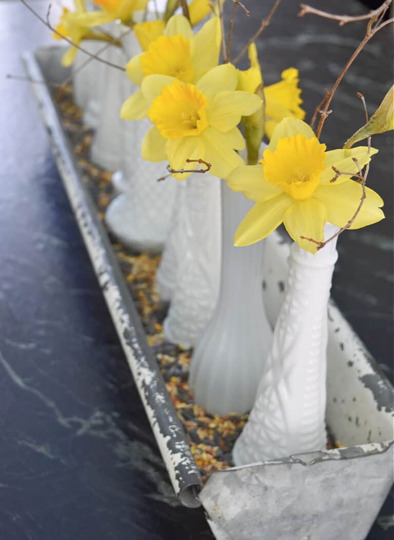 Daffodils in milkglass vases
