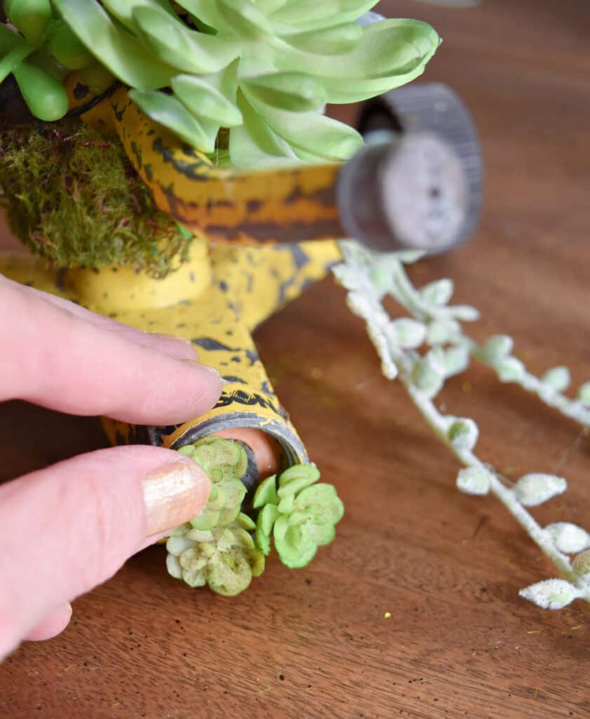 Crafting succulent sprinkler art.