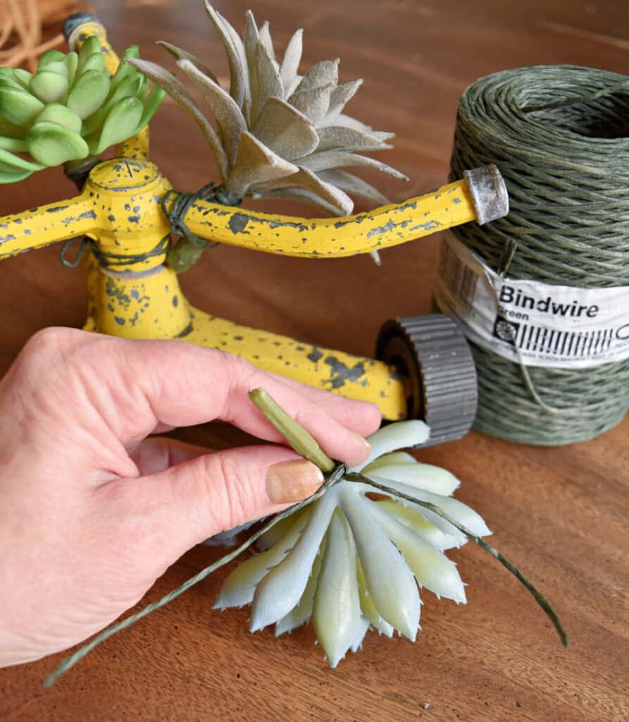 Old yellow sprinkler with succulents.