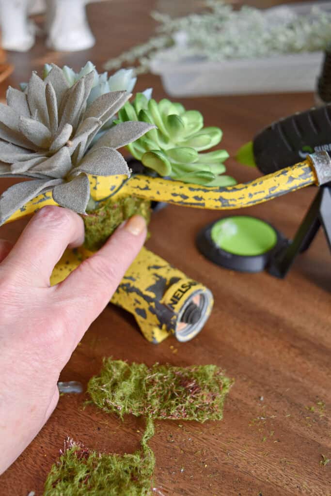 Old yellow sprinkler with succulents.