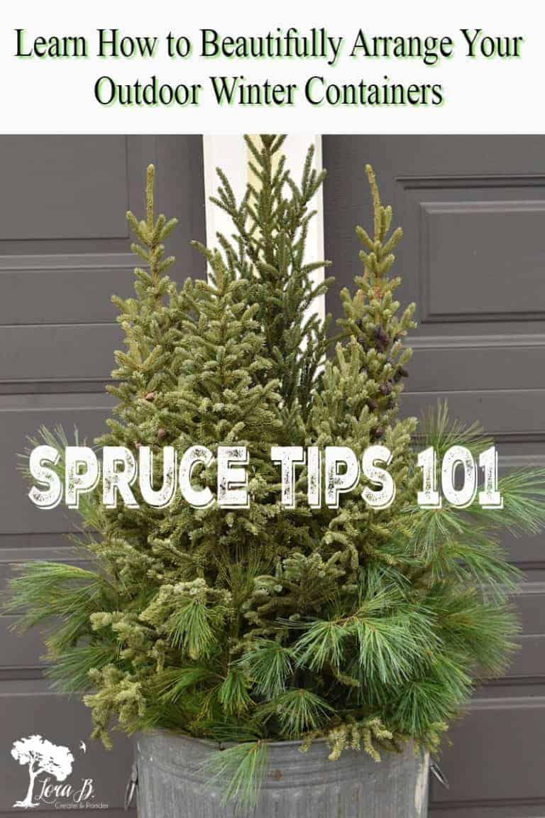 Spruce Tips 101 Lora BloomquistCreate & Ponder