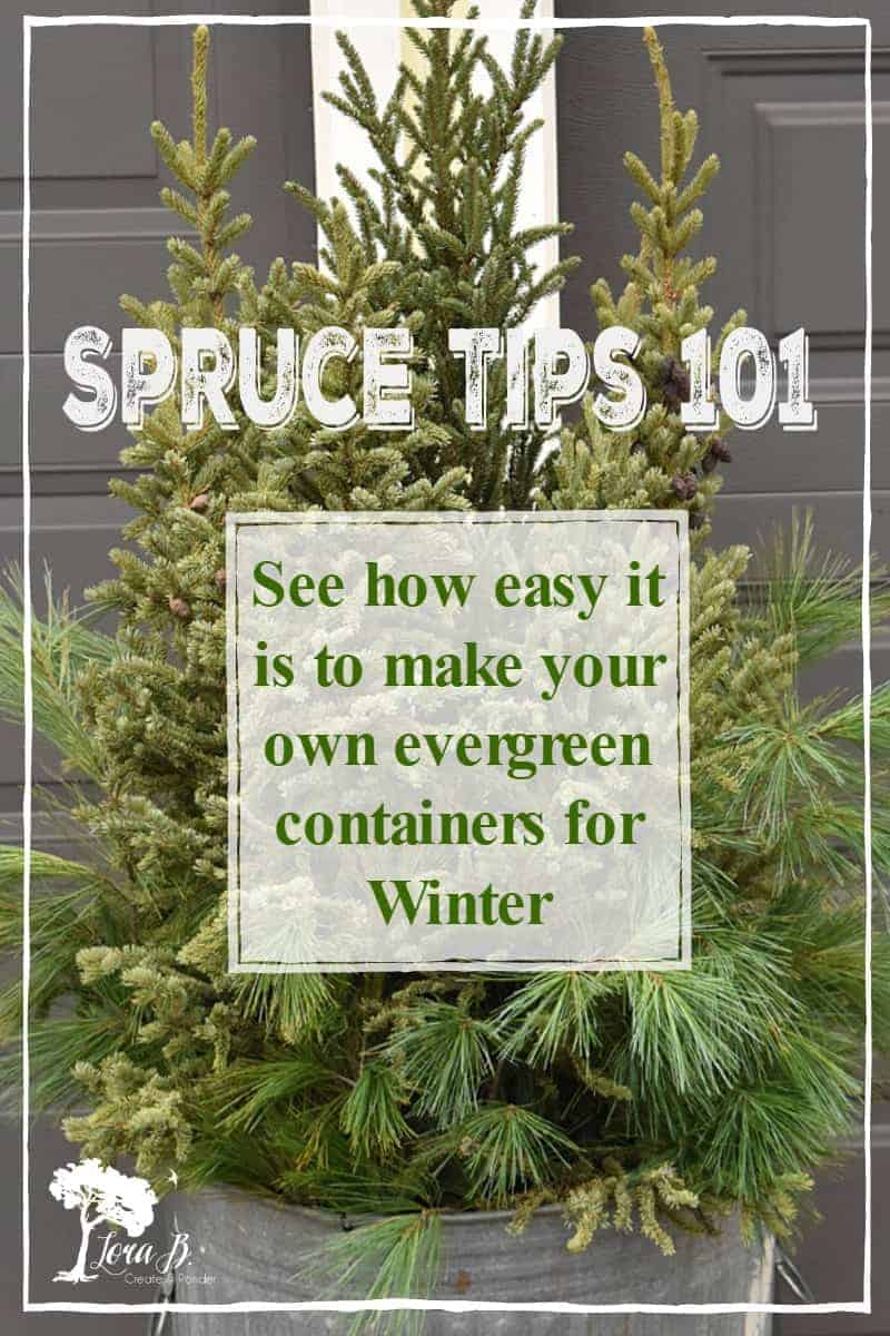 Spruce Tips 101 - Lora Bloomquist~Create & Ponder