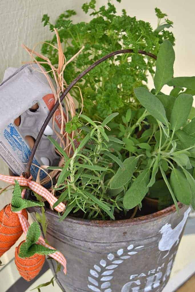 galvanized bucket gift idea