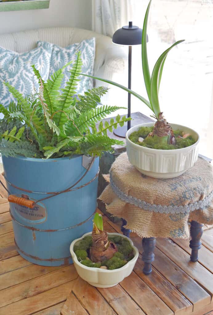 Vintage blue ice cream bucket and old footstool as decor.