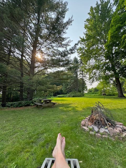 View of back yard with woods.